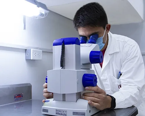 Saneamiento Ambiental, Estudios de Penetracion de Calor